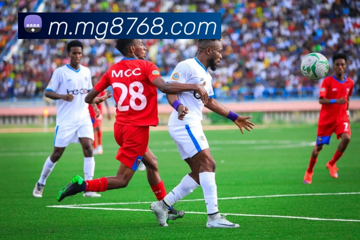 MG娱乐平台官网平台生态图