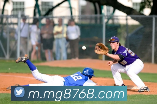 MG娱乐平台官网APP 封面图